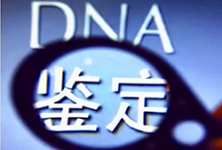 重庆市DNA亲子鉴定机构电话和地址[免费预约]